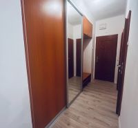 Vstupní hala s vestavěnou skříní a podlahou s dřevěným dekorem ve 3pokojovém bytě.