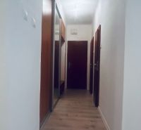 Úzká chodba v 3-pokojovém bytě s podlahou s dřevěným dekorem a vestavěnou skříní.