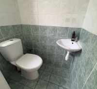 Toaleta s dlažbou a malým umyvadlem ve 2pokojovém bytě.