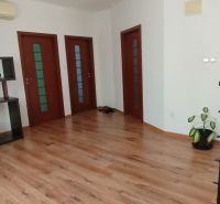 Interiér rodinného domu s podlahou s dřevěným dekorem, poličkou a rostlinou.