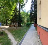 Poklidné prostředí s chodníkem a zelení u Legionářské ulice v Bratislavě.