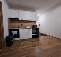 Kuchyňská linka v 1-pokojovém bytě s podlahou s dřevěným dekorem a spotřebiče.