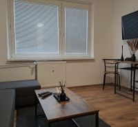 Obývací pokoj v jednopokojovém bytě, šedo-hnědá pohovka, stolek a podlaha s dřevěným dekorem.