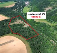 Letecký pohled na lesní pozemek v Domaníkách s rozlohou 48.893 m².