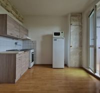 Kuchyně s linkou a spotřebiči, podlaha s dřevěným dekorem, radiátor, balkon, 2-pokojový byt.