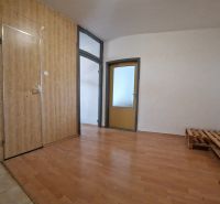 Interiér 2-pokojového bytu se stěnami z dřevěného obkladu a podlahou s dřevěným dekorem.