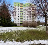 Panelák obklopený zelení a zasněženým trávníkem na Novozámecké ulici ve Zvolenu.
