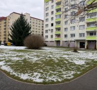 Panelové domy obklopené zbytky sněhu na Novozámocké ulici, Zvolen, Banskobystrický kraj, Slovensko.