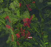 Zemědělské a lesní pozemky v Ábelové, zobrazené s vyznačenými hranicemi parcel.