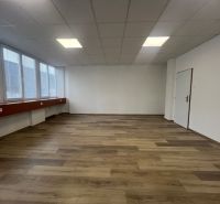 Kanceláře se světlými stěnami a podlahou s dřevěným dekorem, prosklená okna a bílý strop.