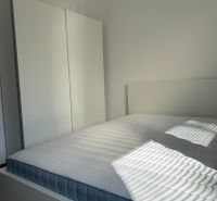 IMG_8576.jpeg