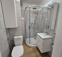 Koupelna v garsonce s moderní sprchou, umyvadlem, toaletou a podlahou s dřevěným dekorem.