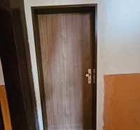 Vstupní dveře s dřevěným dekorem a černou rohoží, Garsonka.