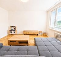 Obývací pokoj s podlahou s dřevěným dekorem a šedou sedačkou v 2-pokojovém bytě.