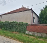 Rodinný dům v Dulovcích s plotem porostlým zelení zasazený u cesty.
