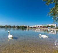 Jezero s labutěmi, písečná pláž, okolní budovy u ulice Budatínska v Bratislavě.