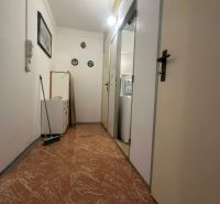Chodba v 2-pokojovém bytě s podlahou s dřevěným dekorem, bílými stěnami a světlem.