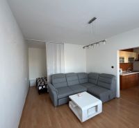 Stylový obývací pokoj v 3pokojovém bytě s podlahou s dřevěným dekorem.