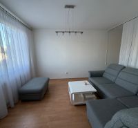 Obývací pokoj s šedou sedačkou, stolkem a podlahou s dřevěným dekorem v 3-pokojovém bytě.