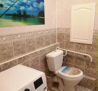 Koupelna s toaletou a pračkou ve 3pokojovém bytě, dekorativní obraz na stěně.