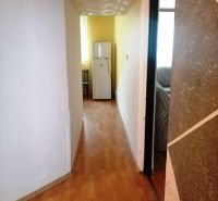 Chodba v 3-pokojovém bytě s podlahou s dřevěným dekorem, vedoucí k lednici.