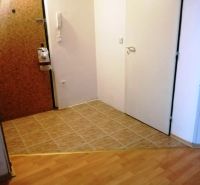 Chodba 3pokojového bytu s dlažbou a podlahou s dřevěným dekorem.
