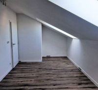 Podkroví v rodinném domě s podlahou s dřevěným dekorem a střešním oknem.
