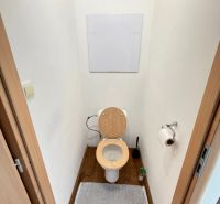 Toaleta s podlahou s dřevěným dekorem ve 4pokojovém bytě.