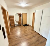 Chodba ve 4-pokojovém bytě s podlahou s dřevěným dekorem a úložnými prostory.