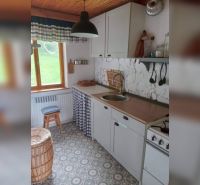 Kompaktní kuchyně v rodinném domě s retro dekorem a dřevěným stropem.