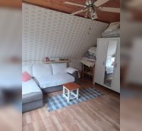 Podkrovní pokoj v rodinném domě s pohovkou, kobercem a podlahou s dřevěným dekorem.