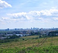 Vinice na Ptačí cestě v Bratislavě - Rači s panoramatickým výhledem na město.