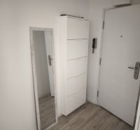 Vstupní chodba s bílým nábytkem a podlahou s dřevěným dekorem v 2-pokojovém bytě.