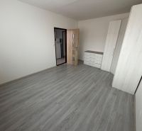 Pokoj s podlahou s dřevěným dekorem, skříněmi a komodou v 1-pokojovém bytě.