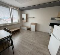 Obývací část 1-pokojového bytu s kuchyňským koutem a podlahou s dřevěným dekorem.