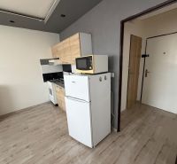 Kuchyň v 1-pokojovém bytě s lednicí a podlahou s dřevěným dekorem.