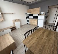 Kuchyně a jídelní kout s podlahou s dřevěným dekorem v 1-pokojovém bytě.