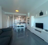 Rekreační apartmán s pohovkou, jídelním stolem a TV, podlaha s dřevěným dekorem.