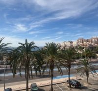 Palmy lemují cestu u Rekreačního apartmánu v La Manga del Mar Menor.