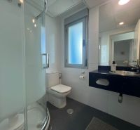 Koupelna s toaletou, sprchovým koutem a umyvadlem v rekreačním apartmánu.