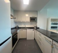 Kuchyně rekreačního apartmánu s lesklými skříňkami a tmavou pracovní deskou.