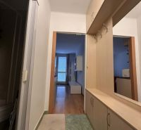 Chodba v rekreačním apartmánu se skříňkou a podlahou s dřevěným dekorem.
