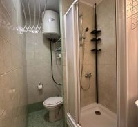 Koupelna s toaletou a sprchovým koutem v rekreačním apartmánu.