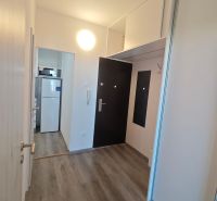 Vstupní chodba s vestavěnými skříněmi a podlahou s dřevěným dekorem v 1pokojovém bytě.