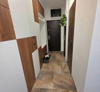 Chodba v 2-pokojovém bytě s tmavými dveřmi a podlahou s dřevěným dekorem.