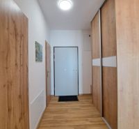 Prostorná předsíň s podlahou v dřevěném dekoru a vestavěnou skříní v 2pokojovém bytě.