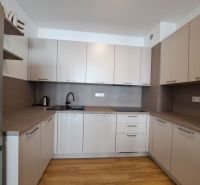 Kuchyně v 2-pokojovém bytě s podlahou s dřevěným dekorem a elegantním nábytkem.