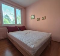 Ložnice ve 4pokojovém bytě s podlahou s dřevěným dekorem a růžovými stěnami.