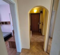 Chodba ve 4-pokojovém bytě s podlahou s dřevěným dekorem a dlaždicemi.