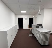 Kanceláře s recepcí, bílými skříňkami a hnědým kobercem, podlaha s dřevěným dekorem.